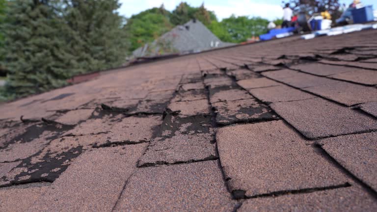 Best 4 Ply Roofing  in Fair Haven, NY