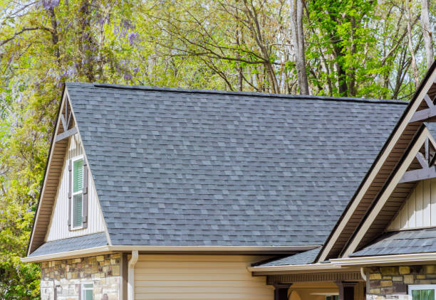 Best Roof Moss and Algae Removal  in Fair Haven, NY