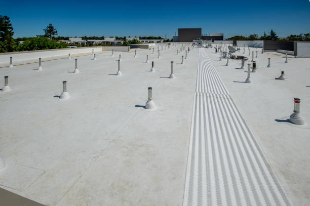 Best Roof Maintenance and Cleaning  in Fair Haven, NY